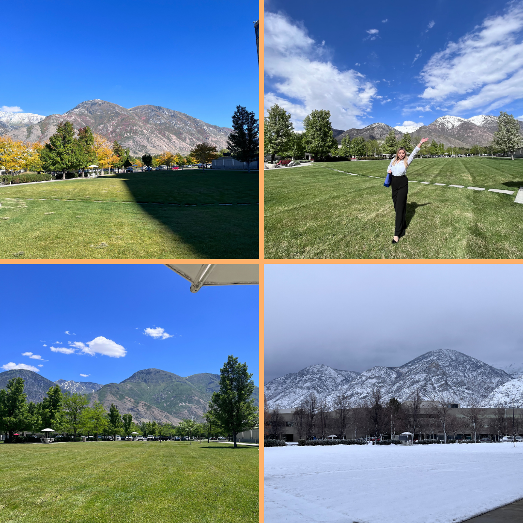 Four seasons at Rocky Mountain University